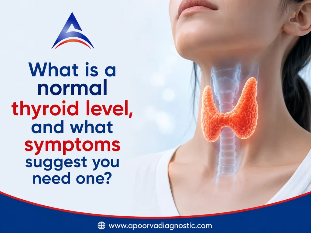 What Is a Normal Thyroid Level